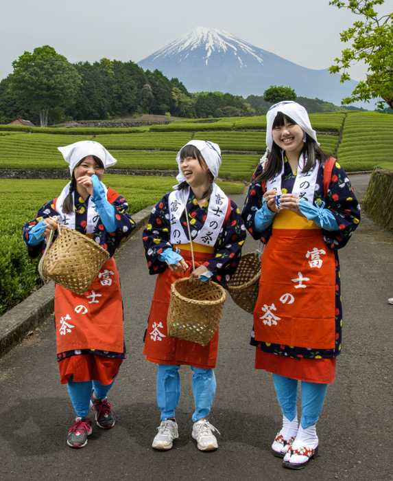 これから茶摘みじゃんね
