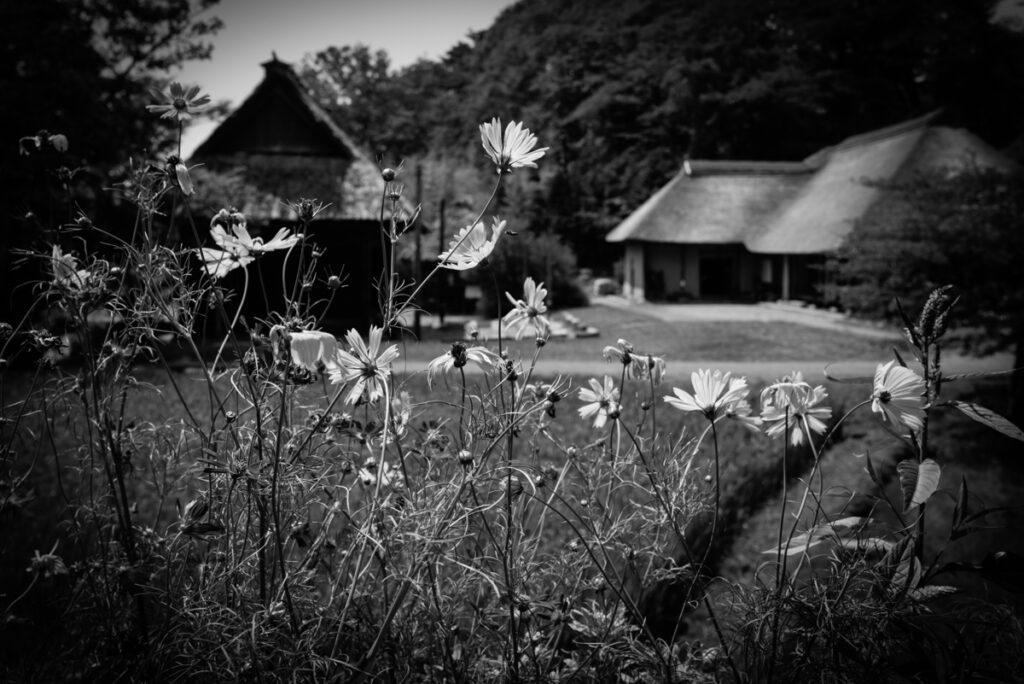 「遠い記憶」みちのく民俗村ほか
