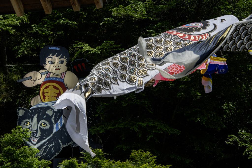 「金太郎、鯉をねらう」小山町金時公園